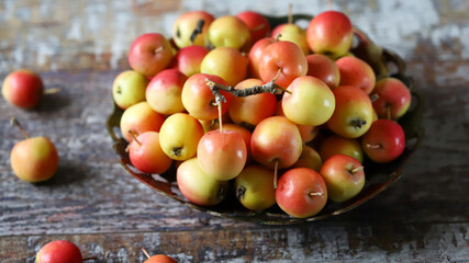 Macro. Paradise apples on a plate. Autumn harvest of apples.