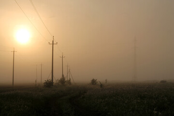 Power lines at sunrise. Country road at dawn in the fog
Power lines at dawn in the fog. Fog over the field