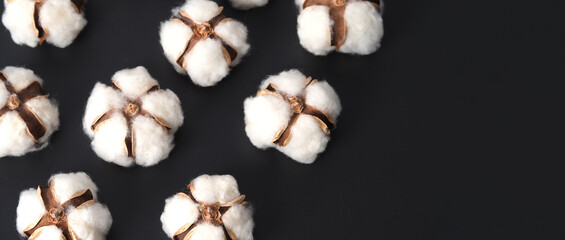 Cotton flowers isolated on black background. studio shot flat lay top view angle. White cotton flowers represent soft gentle and  delicate. Showing texture of cotton by close up shot.  