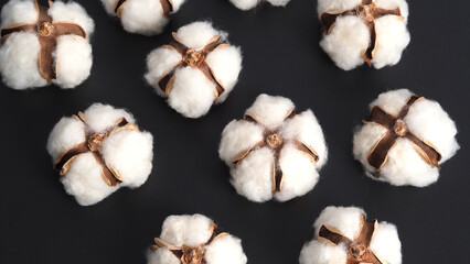 Cotton flowers isolated on black background. studio shot flat lay top view angle. White cotton flowers represent soft gentle and  delicate. Showing texture of cotton by close up shot.  