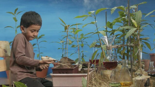 A cute boy enjoyed planting trees in the garden steaming scene..feeling happy smiley face, love the trees blue background. .smiling face of happy boy relax save the earth concept.