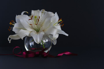 Flowers of white lilies in a glass vase with a red ribbon on a dark background. Postkard.