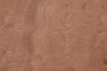 Texture of  Exotic Makore Pomele Wood veneer