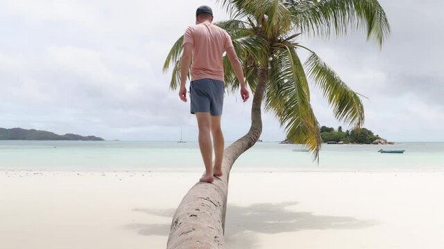 Young man sitting on palm tree on idyllic white sand beach and enjoying holiday in Seychelles. Real time in 4K resolution. .
