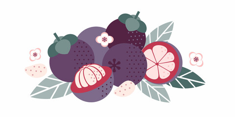 Mangosteen tropical exotic fruit. Flat illustration. Whole and half cut with lobules, leaves and flowers. Illustration can use for jam, marmalade fruit drink,  for label, packaging design.
