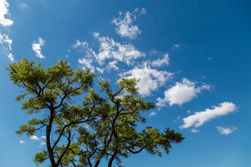 Estrada Real, Congonhas, Minas Gerais - Brasil