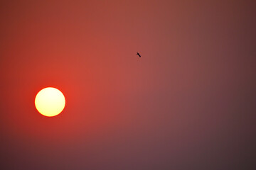 sunset 