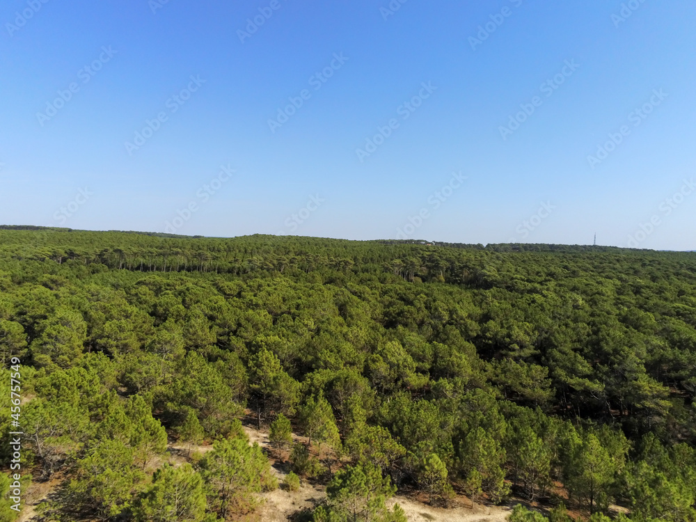 Sticker Forêt de pins, vue aérienne au Cap Ferret, Gironde