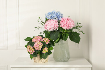 Beautiful hortensia flowers on table near white wall