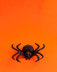 One big black horror spider on orange backdrop with copy space. Halloween decoration spooky background concept for holidays