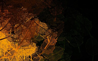 Dark Green, Yellow vector elegant template with leaves.