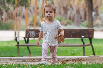 Little girl picking up autumn leaves in the park