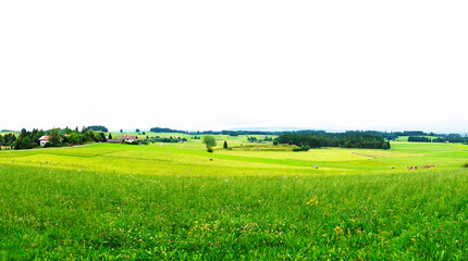 Panorama landscape in the Allgäu in Bavaria. Nature with mountains, meadows and forests.