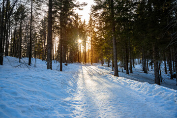 Ampty snowy forest path in the Alps at sunset. Tranquil winter scene.