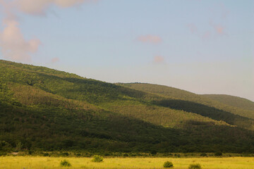 Fototapeta premium Mountains covered with green vegetation and a yellow field. Background image.