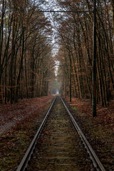 Railroad track in the middle of the forest in autumn