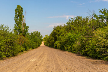 Fototapeta na wymiar A gravel road among forest. Republic of Moldova.