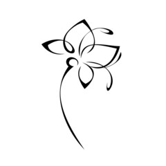 one stylized blooming flower on a short stalk without leaves in black lines on a white background