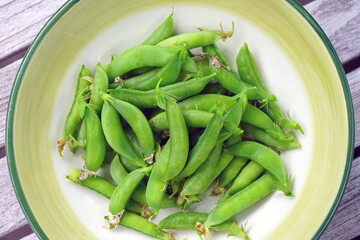 Bowl of freshly picked green garden peas