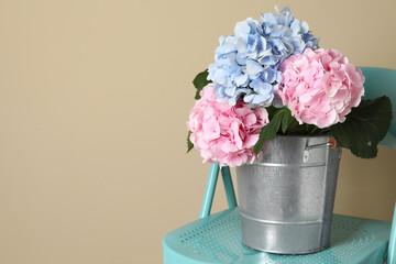 Beautiful hortensia flowers in bucket on chair near beige wall. Space for text