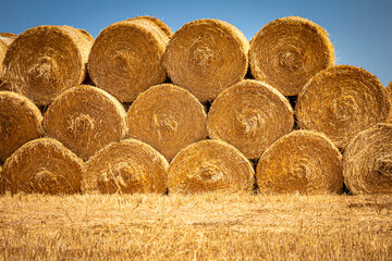 Close image of Large Rolled Hay Bales on yellow weeds against a blue sky © F Armstrong Photo