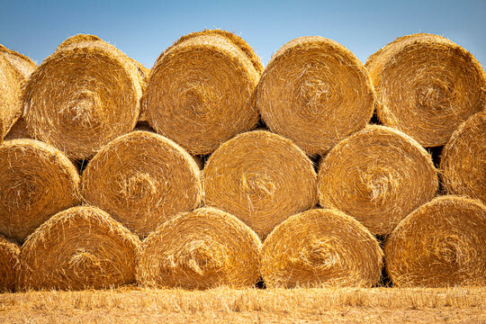 Close image of Large Rolled Hay Bales on yellow weeds against a blue sky