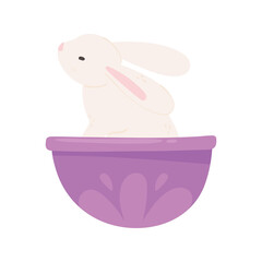 cute rabbit in bowl