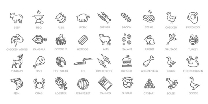 Meat, poultry, fish and eggs - minimal thin line web icon set