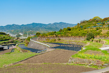 いつもの風景