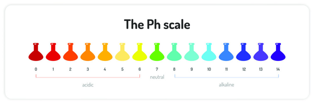 The ph scale infographic. Isolated vector illustration on white background.