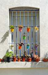 Ventana de una casa andaluza con macetas de colores. Andalucía en primavera. Alegría de primavera en Sevilla - obrazy, fototapety, plakaty