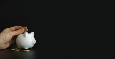Hand putting money coin into piggy bank for saving money. Wealth, budget, investment, finance...