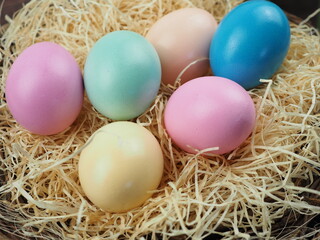 Fototapeta na wymiar Bunte Eier eignen sich nicht nur zum suchen zu sondern auch für eine tolle Dekoration zu Ostern