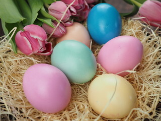 Fototapeta na wymiar Bunte Eier eignen sich nicht nur zum suchen zu sondern auch für eine tolle Dekoration zu Ostern