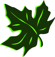 Maple Leaf. vector illustration
