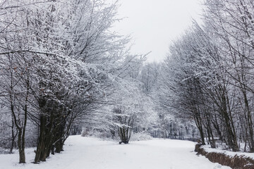 Winter landscape after heavy snowfall