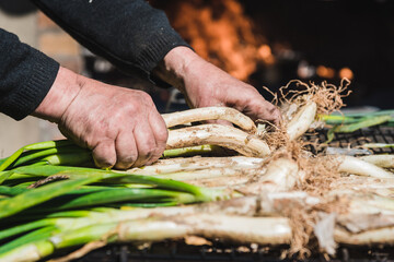 Preparacion of grilled tender onions mediterranean (Calçots, Catalonia, Spain)