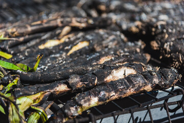 Grilled onions on the grill
