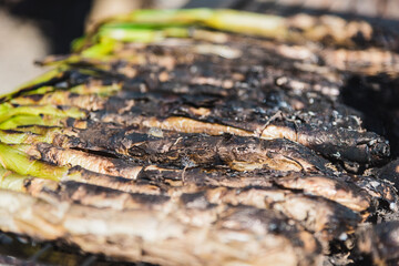 Grilled onions on the barbecue