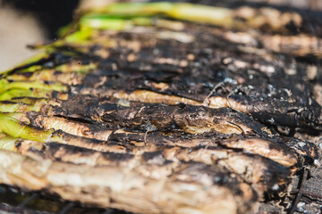 Delicious grilled tender onions mediterranean in a grill (Calçots, Catalonia, Spain)