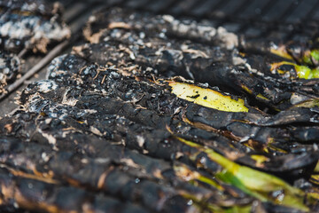Grilled delicious onions (catalan local cuisine)