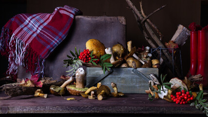 Forest mushrooms lie on a wooden table