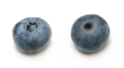 fresh blueberry berry