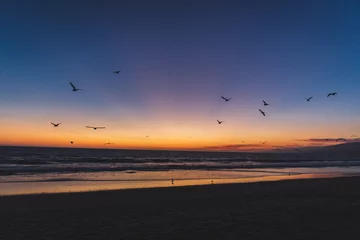 Foto op Canvas Dramatic sunset on the beach and flying birds © Spencer Veltkamp/Wirestock