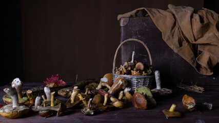 Forest mushrooms lie on a wooden table