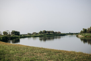 Beautiful summer landscape by the river. Pripyat river, Belarus