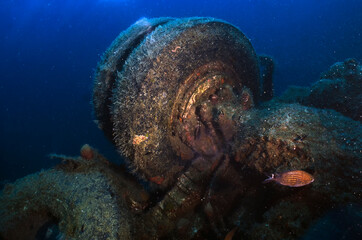The wreck of the MS Zenobia ferry near Larnaca in Cyprus