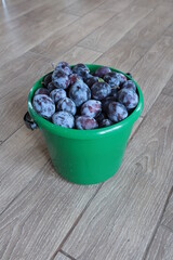 The harvest of ripe plums lies in a green bucket.