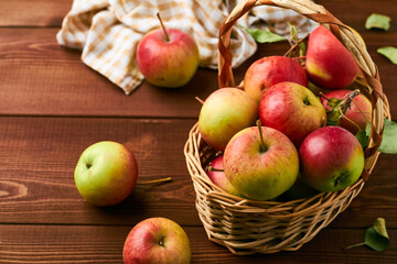 urals autumn tasty garden apples