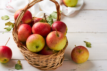 urals autumn tasty garden apples